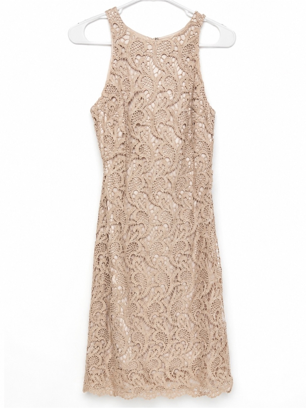 eva mendes for New York & Company Taupe Crochet Midi Dress